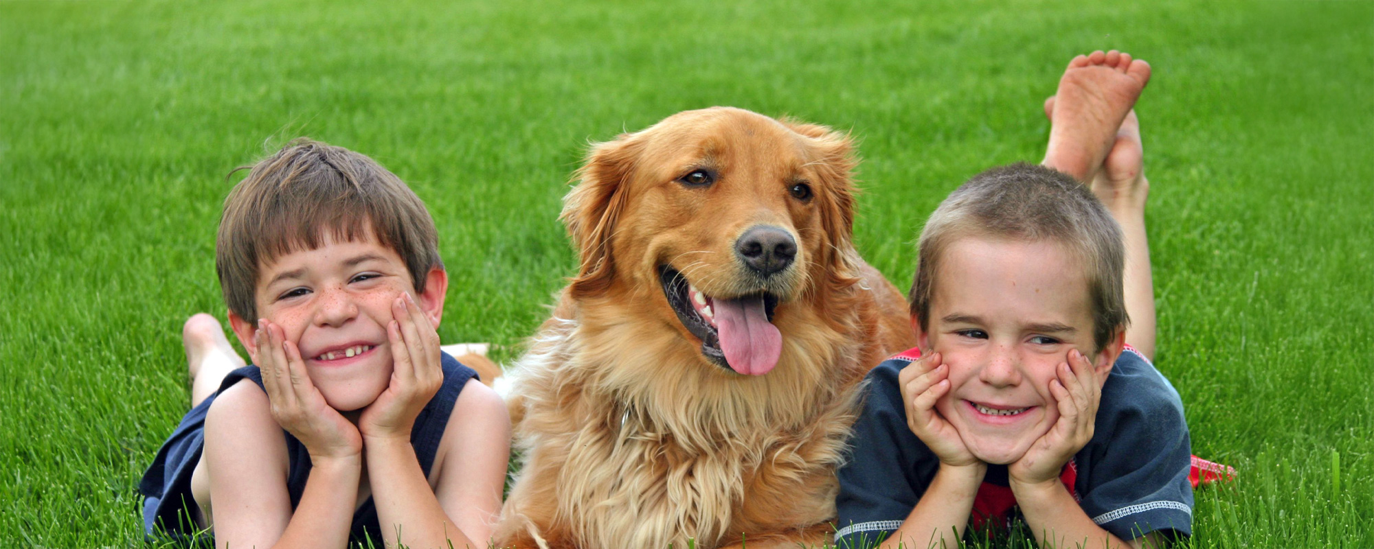 Organic lawn care with kids and a dog playing in the grass