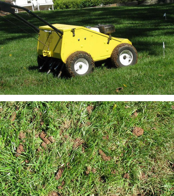 Lawn Aeration and plugs pulled by Greener Lawns Company